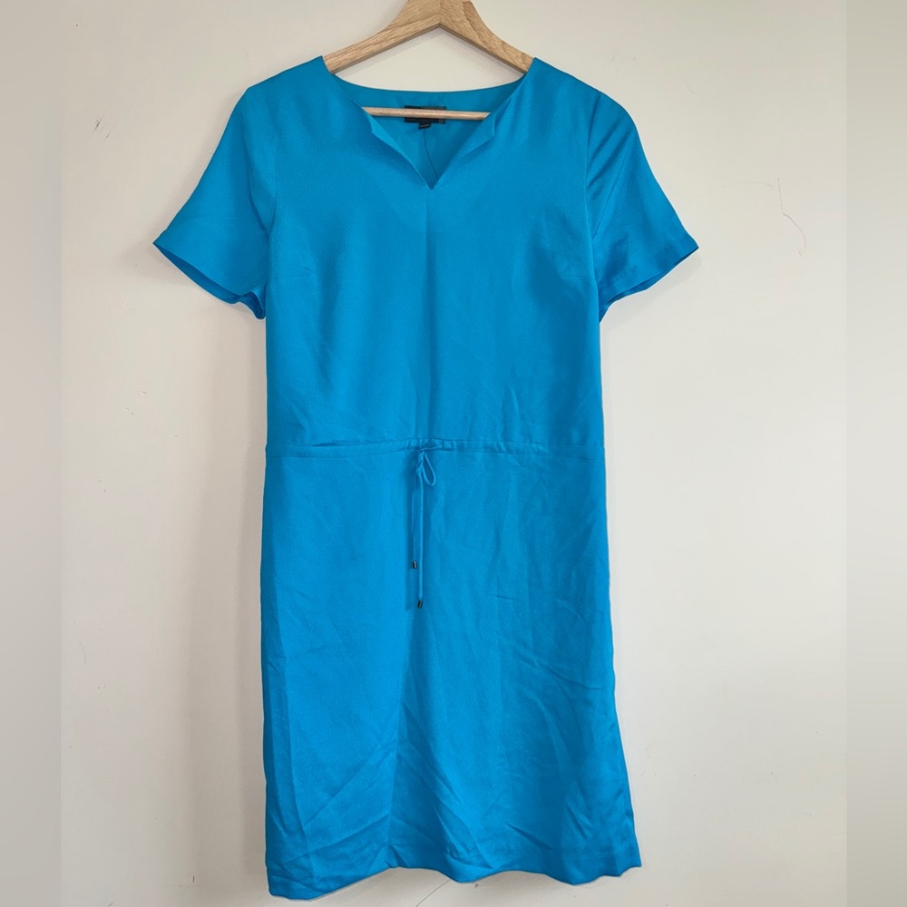 The Limited Vibrant Blue Short Sleeve Dress
